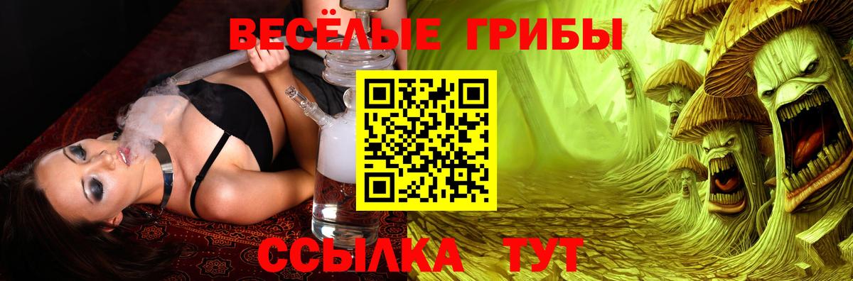 Псилоцибиновые грибы ЛСД  Вход с VPN  Электросталь 