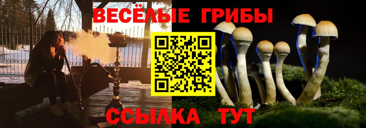 Галлюциногенные грибы MAGIC MUSHROOMS Электросталь